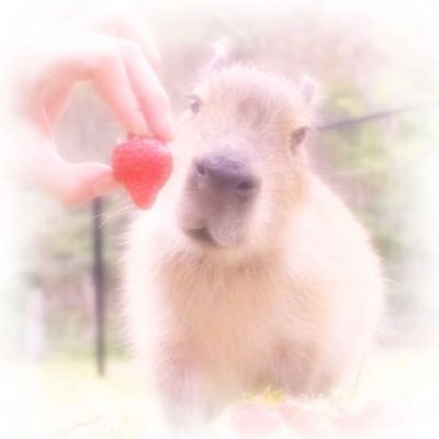 namtonysarang's profile picture