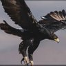 1903_SevdaLıSI's profile picture