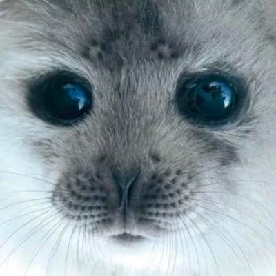ZDJ0420's profile picture