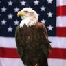 Angry Angel's profile picture