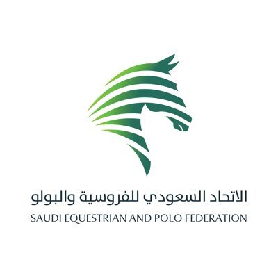 SAEFederation's profile picture