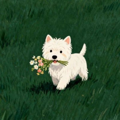 mujo_joo's profile picture
