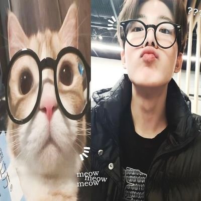 kkyusean's profile picture
