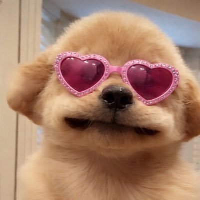 PP.RoronoR (rest)'s profile picture