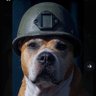 Biggest balls's profile picture