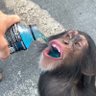 Фото профиля Primate94