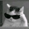๐ฑ's profile picture