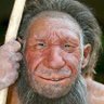 Profilbild von omidacaverna