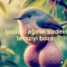 Фото профиля Sina