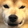 ジリ貧's profile picture