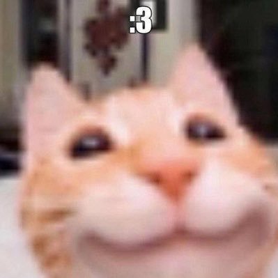saury's profile picture