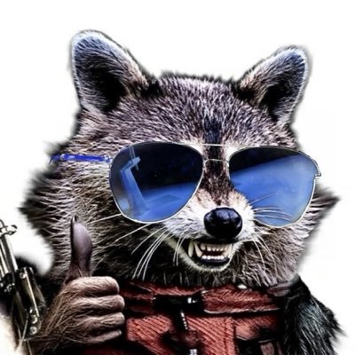 NAFORaccoon's profile picture