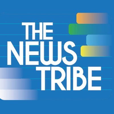 The News Tribe's profile picture