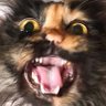 Haumdaucher's profile picture