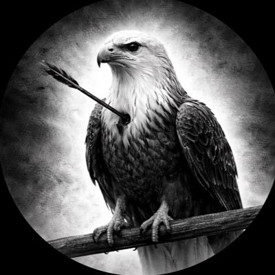 motion_vibez1's profile picture