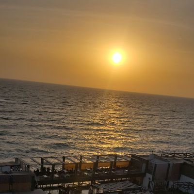 Ahmed Saleh's profile picture