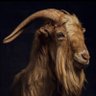 Фото профиля toby kingz