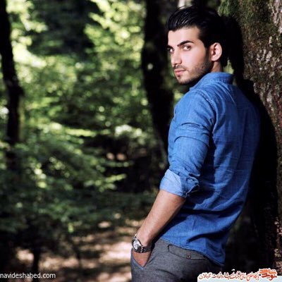 محمد شیرازی's profile picture
