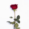 Фото профиля thoug69
