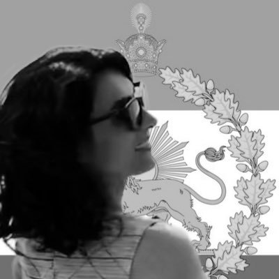 Andia 🇮🇷🇺🇸🇮🇱's profile picture