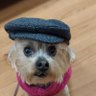Wearegettingwiser's profile picture