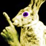 Profilbild von aloha