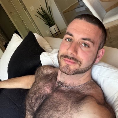 Shreds's profile picture