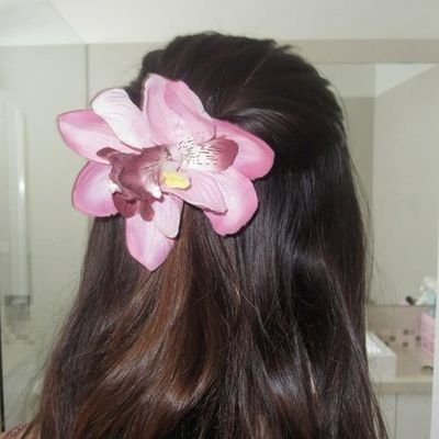 dolliermimi's profile picture