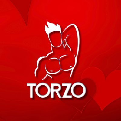 Torzo's profile picture