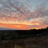 Фото профиля Tom of the Hills