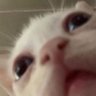 RB's profile picture