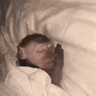PizzaNigga420 profil fotoğrafı