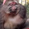 LionYOO profil fotoğrafı
