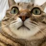 Profilbild von ななZLS
