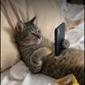 Jesse profil fotoğrafı