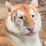 Profilbild von crytofaster