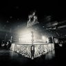 Avalanche's profile picture