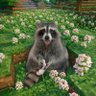 Sumyyy's profile picture
