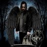 Фото профиля RGD Entertainment/The Lost Angel 🪽