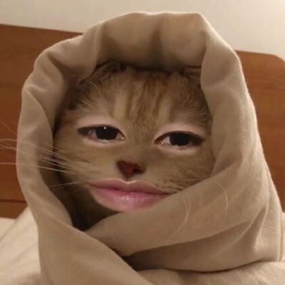 nong7799's profile picture