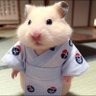 イワタニ🐹⭐️ profil fotoğrafı
