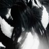 Profilbild von 𝒿𝒶𝒸𝓀𝒾𝑒