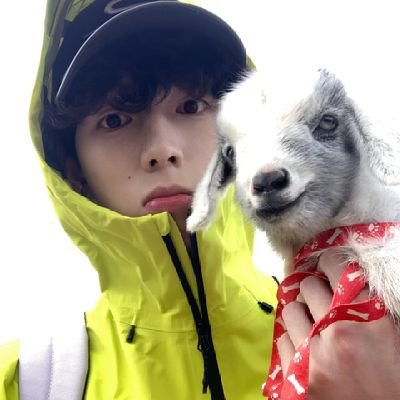 softdrinklll's profile picture