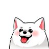 Profilbild von 오늘의꿀통 | Premium+