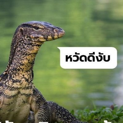 Here_jingjing's profile picture