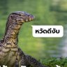 เหวัชระคนซื่อ's profile picture