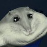 Profilbild von ARat