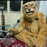 Profilbild von شیر حضرت علی(لع)