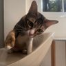 ตากล้อง v.2 profil fotoğrafı