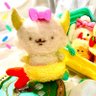 Profilbild von るるぱわ